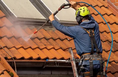 Démoussage et hydrofuge de toiture à Vignec